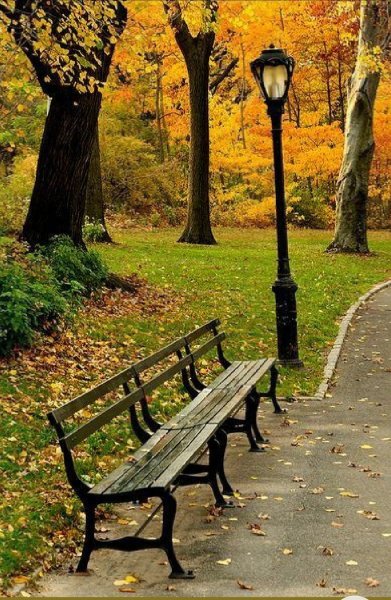 Осенний парк