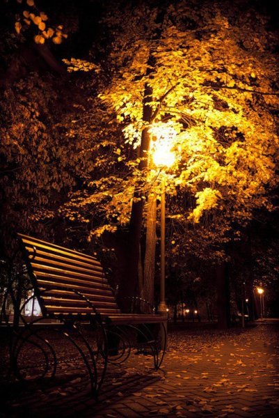 Осенний парк вечером