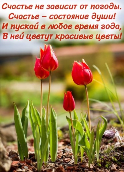 Счастье это состояние души