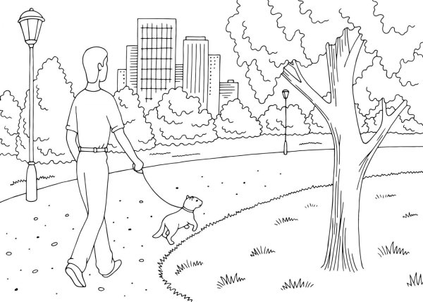Парк для прогулки раскраска