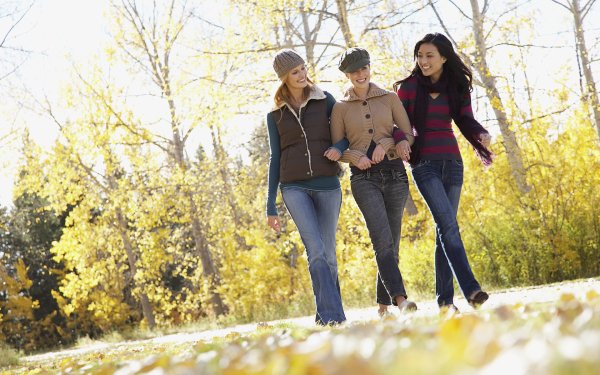 Друзья на прогулке