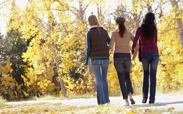 Друзья на прогулке