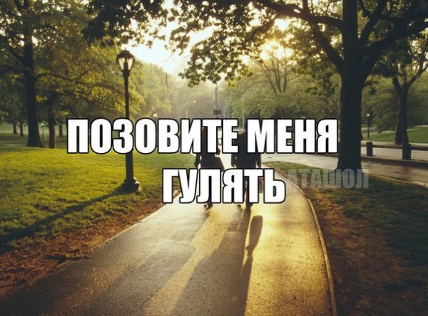 Картинка с надписью прогулка