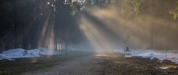 Ранняя Весна туман