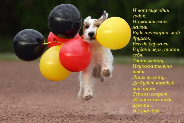 С днём рождения Лиза