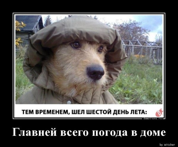 Важней всего погода в доме