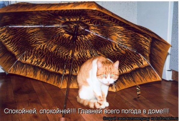 Крыша над головой