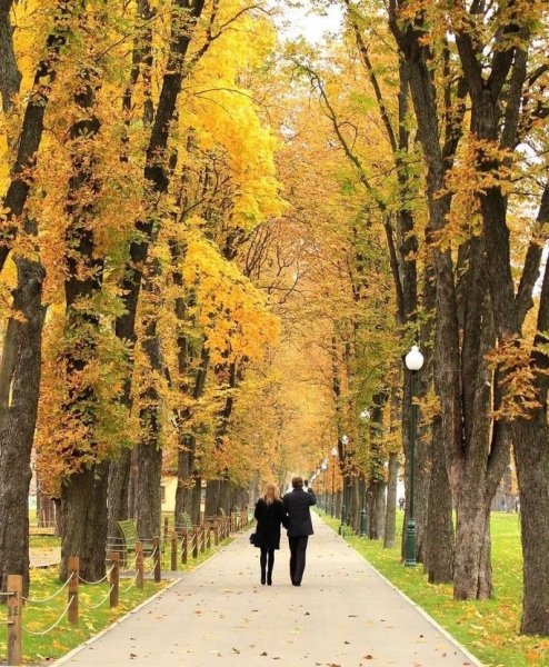 Парк Горького осень аллеи Ташкент