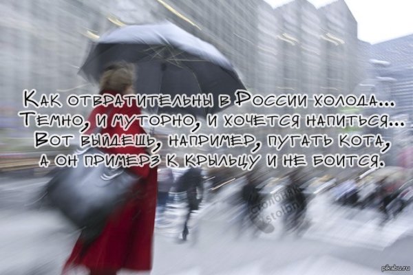 Высказывания про холод