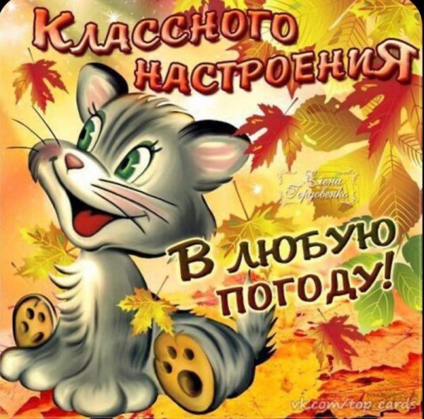 Хорошего настроения в любую погоду