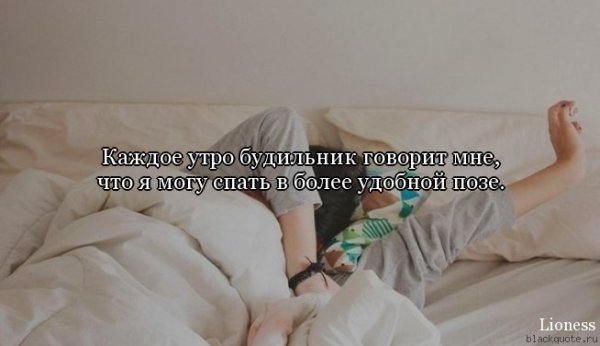 Высказывания про одеяло