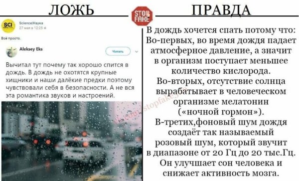 Хочется дождя