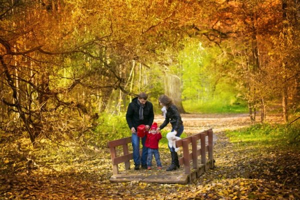 Прогулка в парке