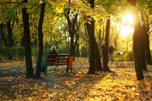 В осеннем парке