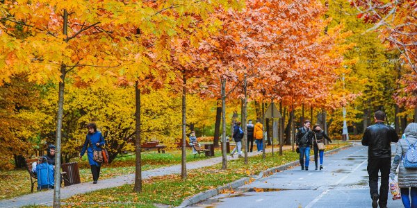 Прогулка по осеннему парку