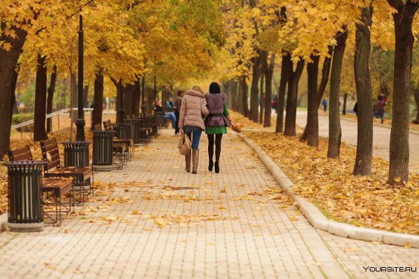 Осенний парк прогулка