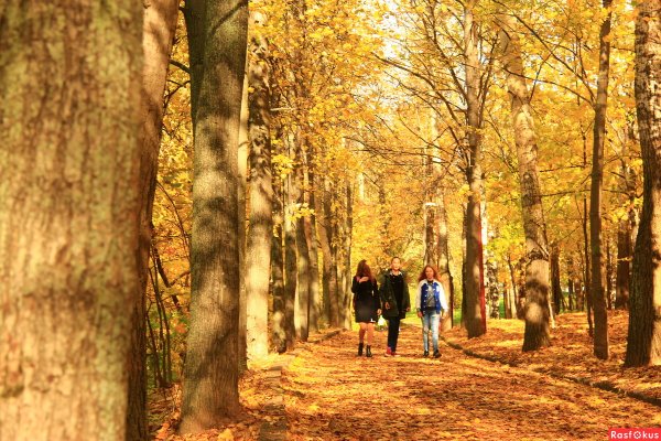 Парк Швейцария Нижний Новгород осенью