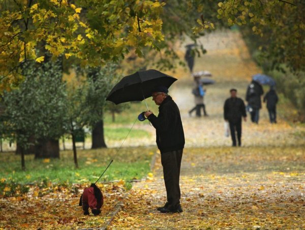 Осень город люди
