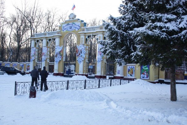 Автозаводский район парк культуры Нижний Новгород зимой