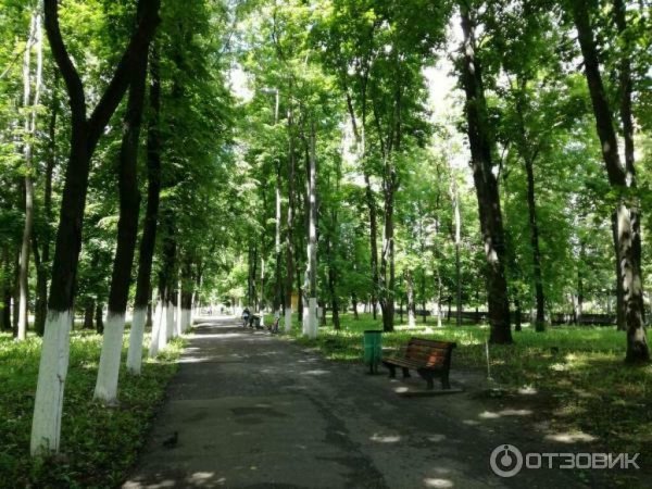 Парк культуры Нижний Новгород парк