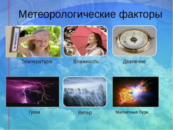 Влияние погодных условий на здоровье человека