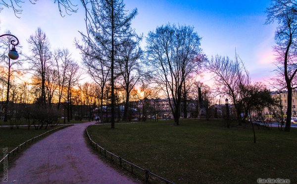 Александровский парк Санкт-Петербург ночью