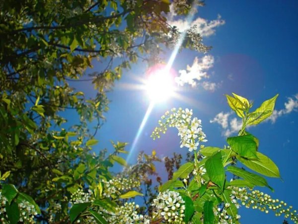 Солнечный день