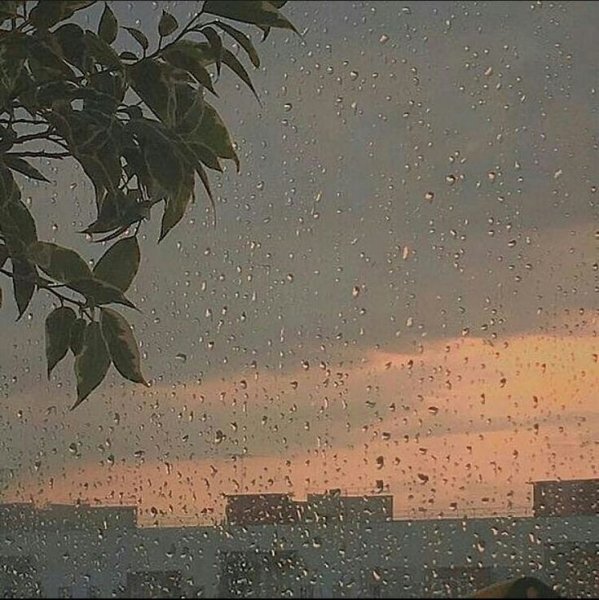 Дождь пасмурно