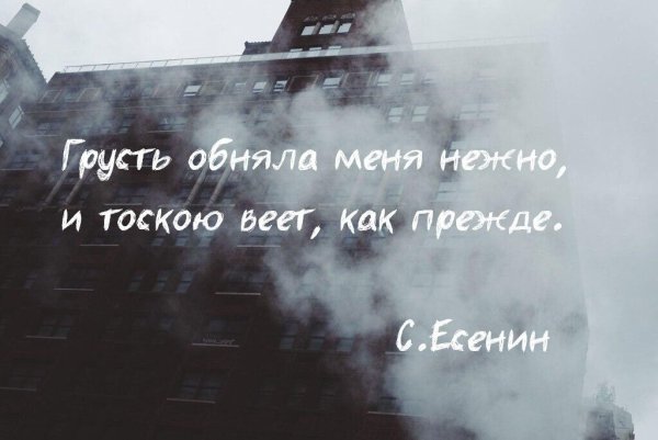 Тоска фразы