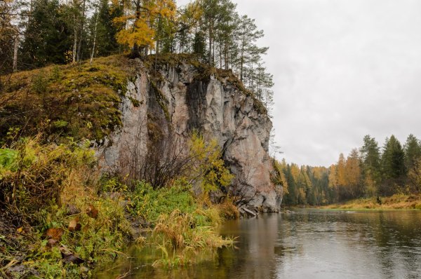 Природный парк Оленьи ручьи Свердловская область