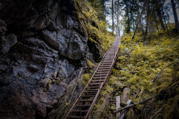 Бардымский хребет Оленьи ручьи