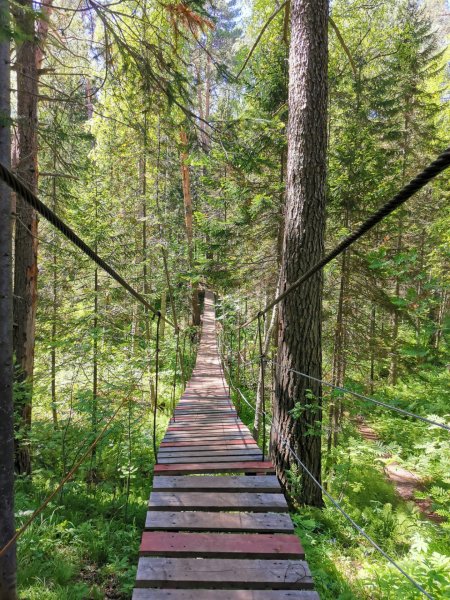 Парк Оленьи ручьи