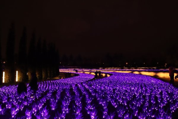 Иллюминация парка Галицкого