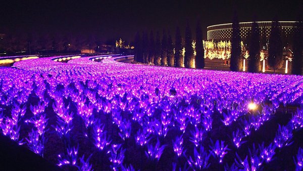 Парк Галицкого в Краснодаре ночью 2021