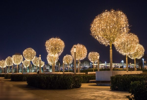 Парк Галицкого в Краснодаре 2020