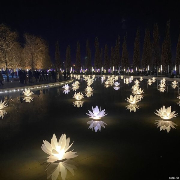 Ночной парк Галицкого в Краснодаре