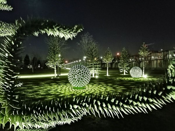 Парк Галицкого в Краснодаре 2021