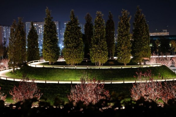 Стадион Краснодар парк Галицкого ночью