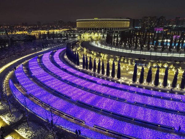 Парк Галицкого в Краснодаре шалфей