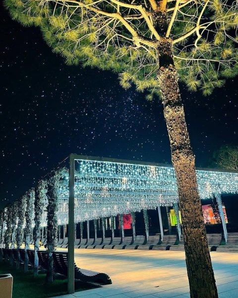 Парк Галицкого в Краснодаре ночью