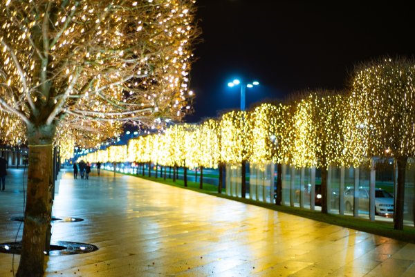 Парк Галицкого в Краснодаре иллюминация