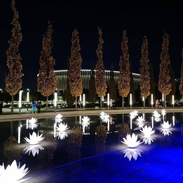 Парк Галицкого в Краснодаре ночью