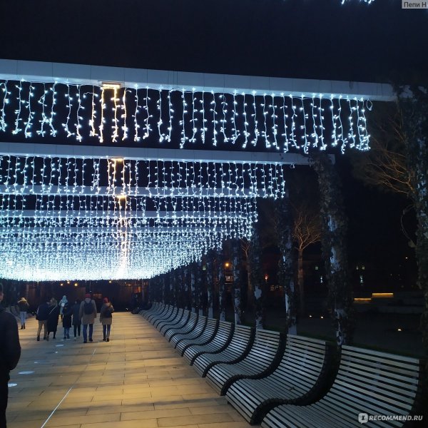 Парк Галицкого в Краснодаре зимой