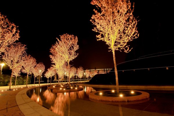 Вечерний парк Галицкого в Краснодаре