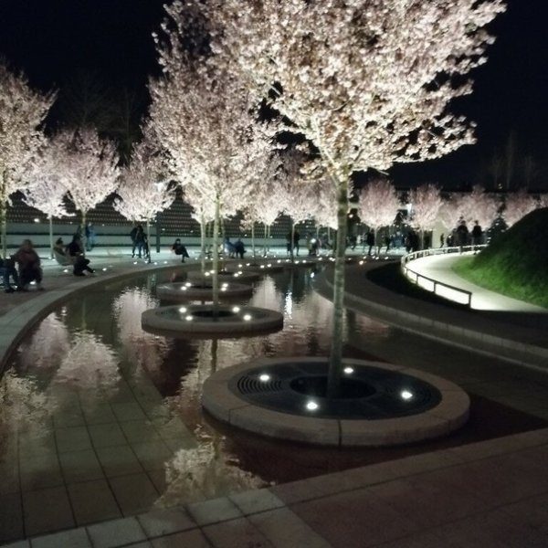 Парк Голицыно Краснодар