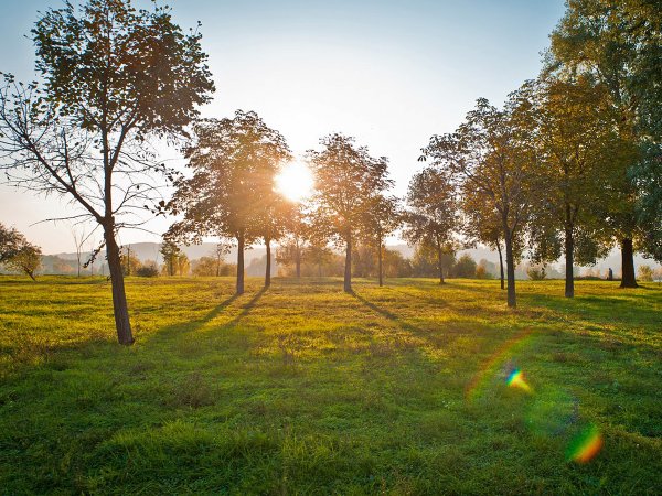 Ясный Солнечный день