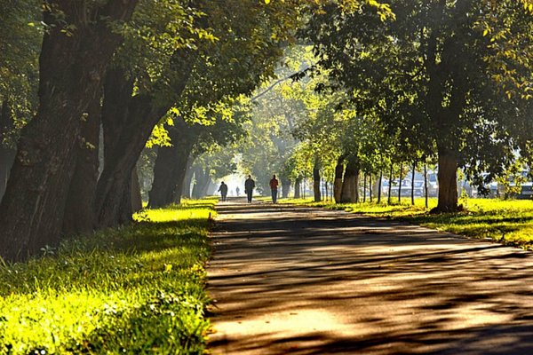 Лето город парк