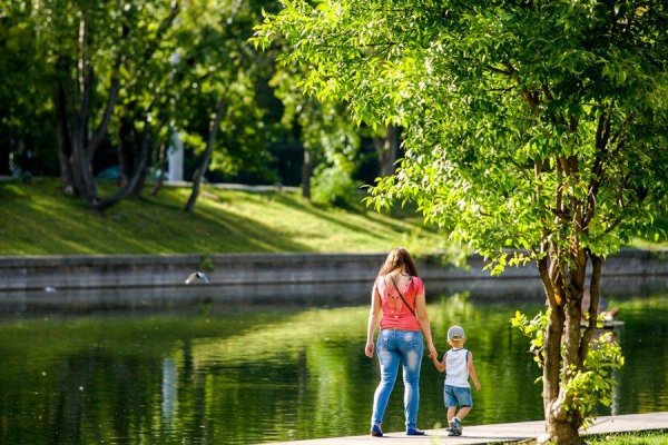 Люди в парке в солнце