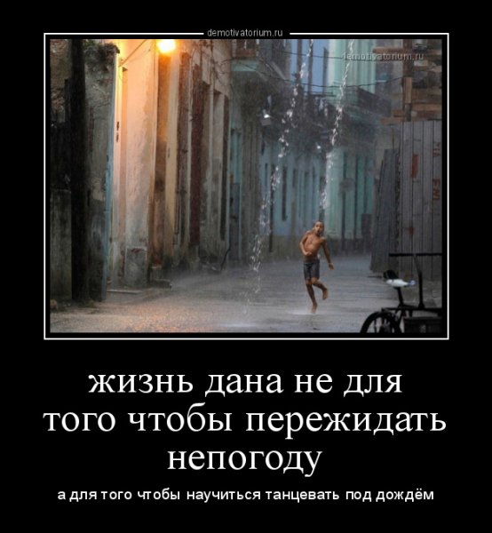 Смешные цитаты про дождь