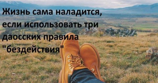 Жизнь налаживается картинки